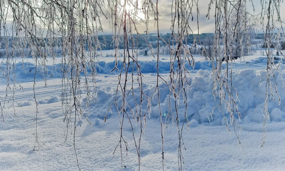 Commercial Aluminum Door Problems in Winter: 6 Common Issues and Solutions