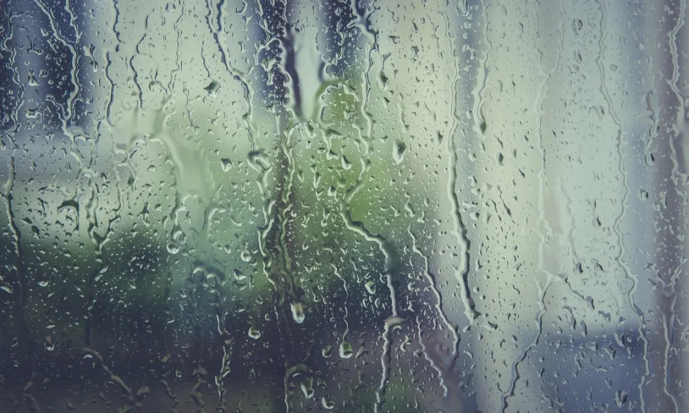 Glass and Aluminum Systems for Humid Climates