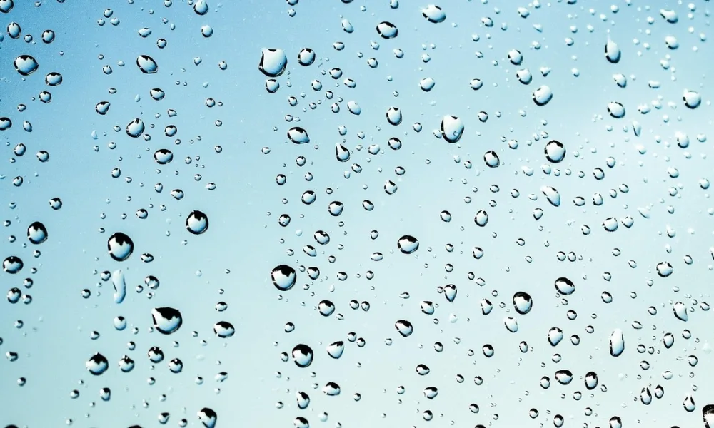 Air leakage can carry humid outdoor air into conditioned spaces. Coordinate sash seals and perimeter connections with the building’s air barrier and planned ventilation.